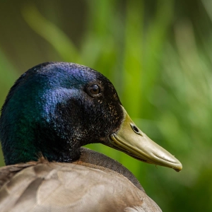 Untitled (40 Of 118).jpg